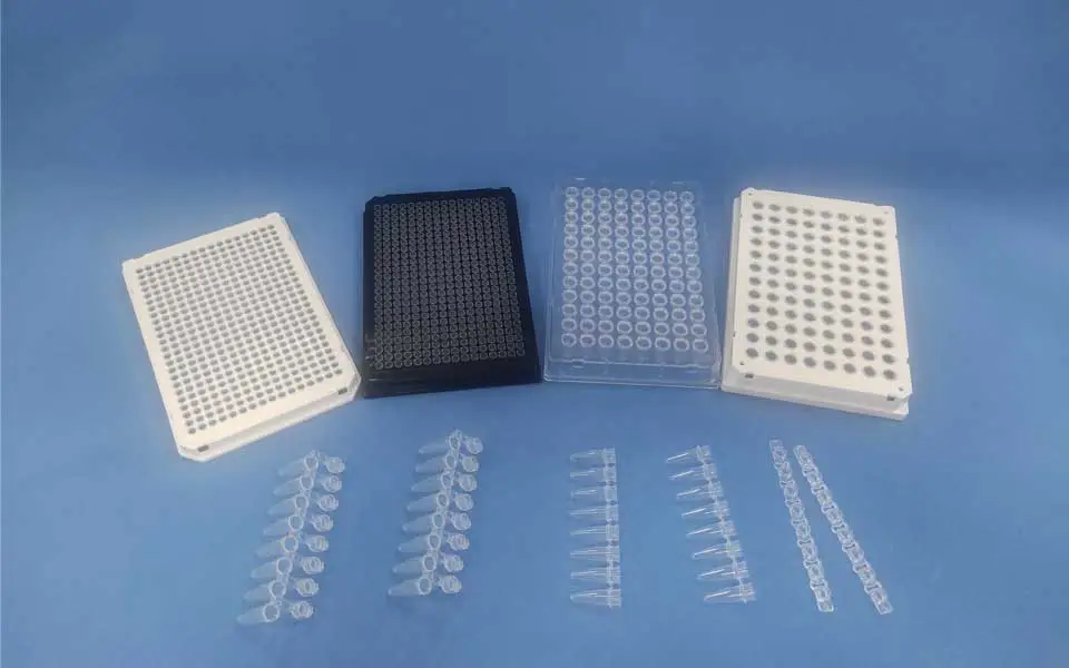 Les plaques et tubes PCR peuvent-ils être utilisés avec la PCR en temps réel?